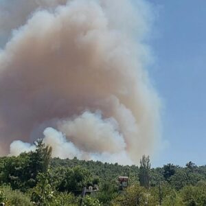 mersinde uc ayri noktada orman yangini CChn1tgD