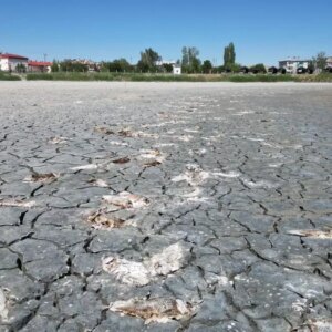 ulas golundeki kuraklik tehlikesi KFzSe4kh