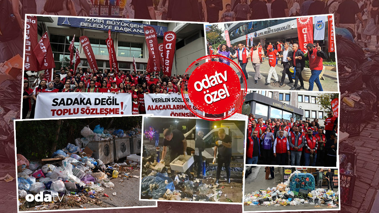 apolitik sendikacilik disk para para para jwXwrpYU