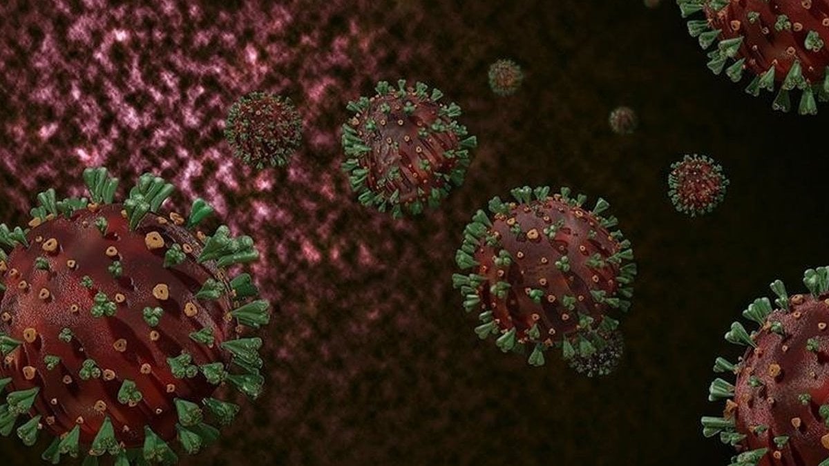 cin acil durum ilan etti dunya diken ustunde ikinci koronavirus vakasi mi ESyFhAL9