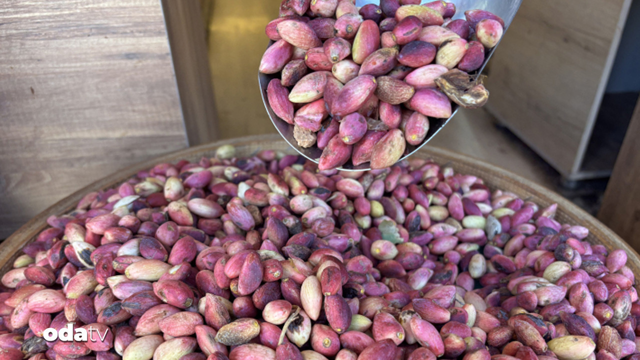 fistikta sok artis zam dudak ucuklatti NMskVYsQ