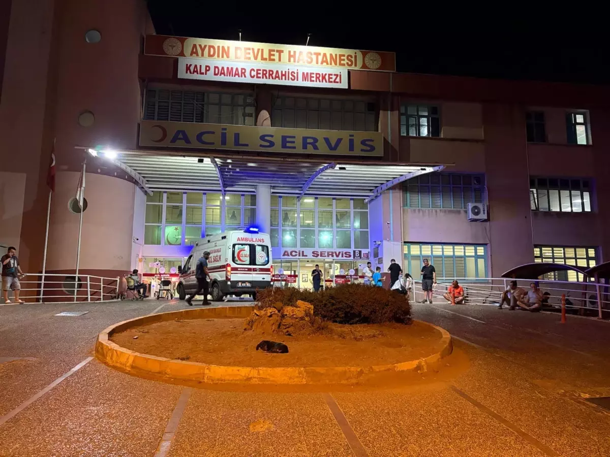 germencikte tartisma kanli bitti 8p531Vtt