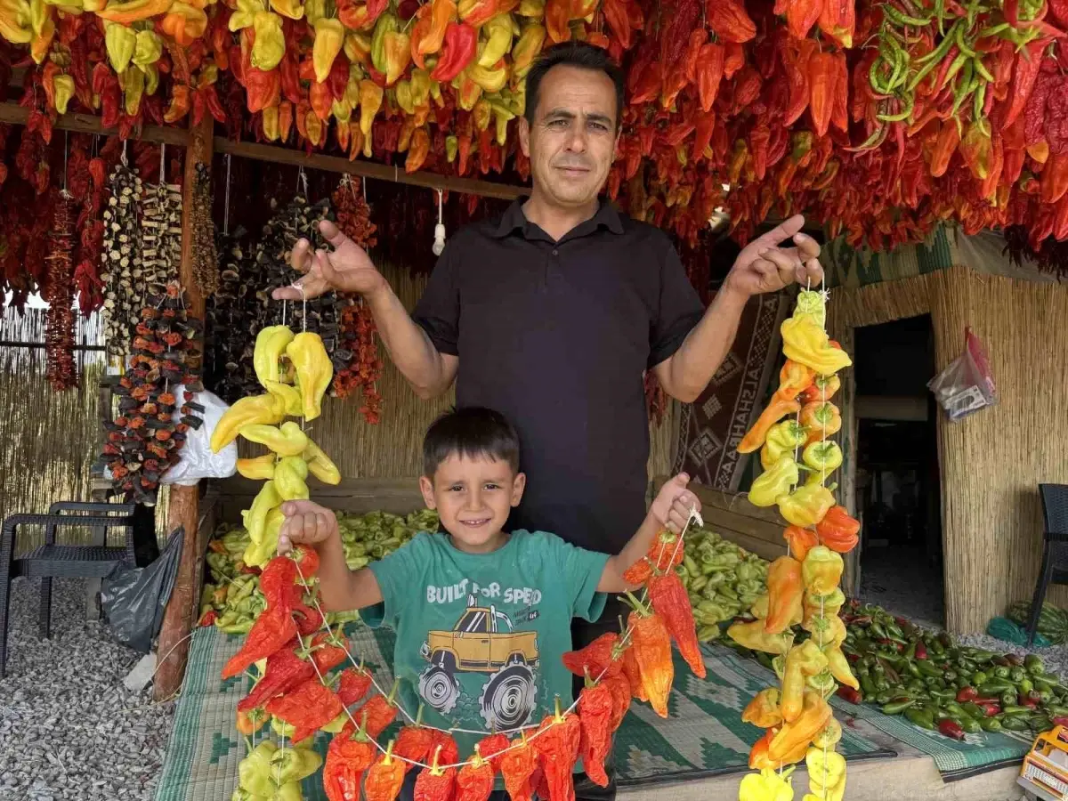 kale biberi dunyaya tanitiliyor 4SSMLYTE