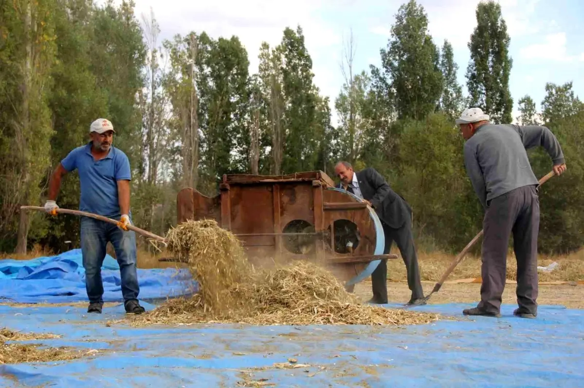geleneksel yontemlerle ata tohumu fasulye uretimi YLbSMScT