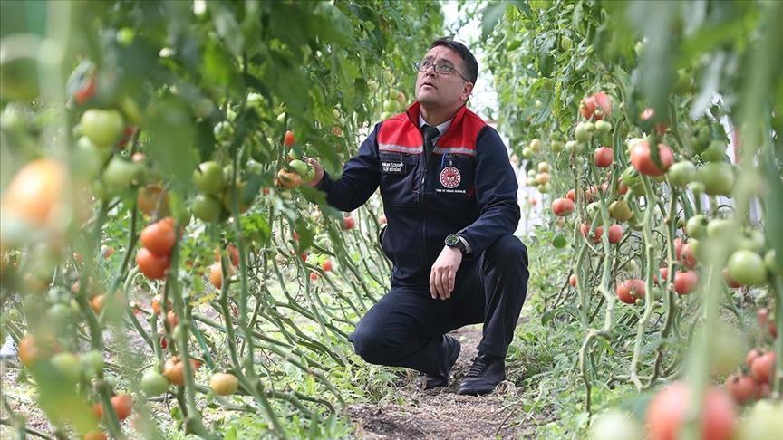 ziraat muhendislerinin olusturdugu sera vatandaslara ilham oldu yfc1yM5u