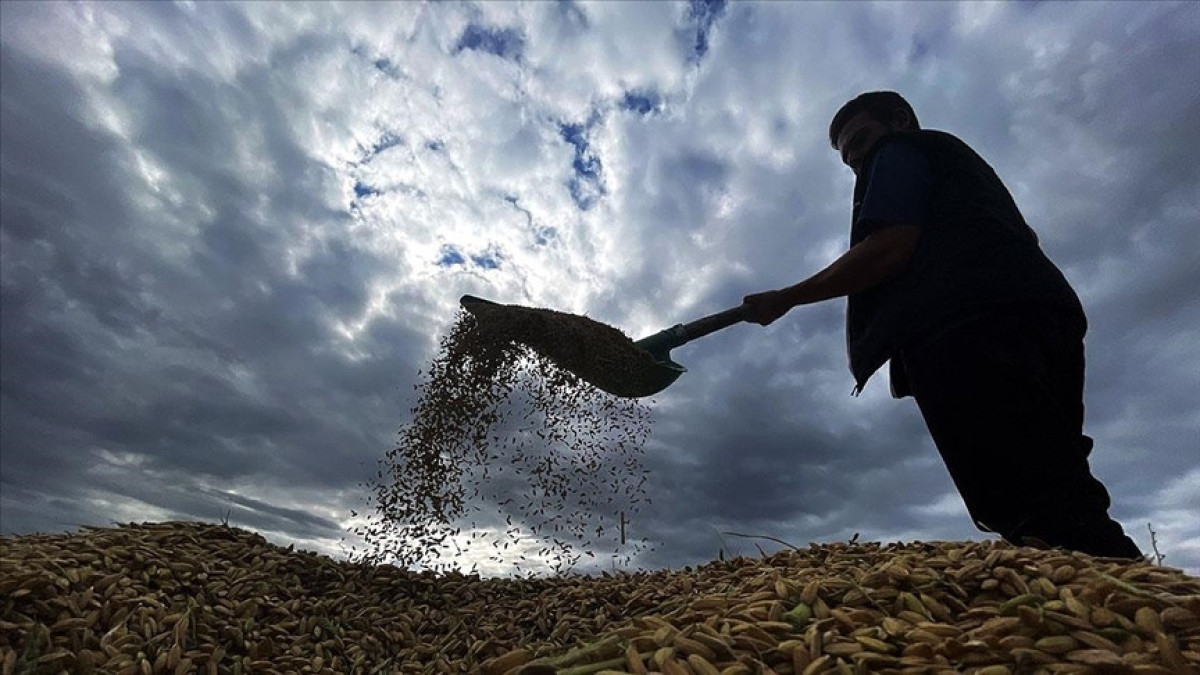 zirai don desteginde ureticilere 17 milyar lira daha odenecek pwEemGt4.jpg
