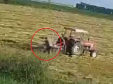 Hatay’da Çiftçi Traktöre Sıkıştı
